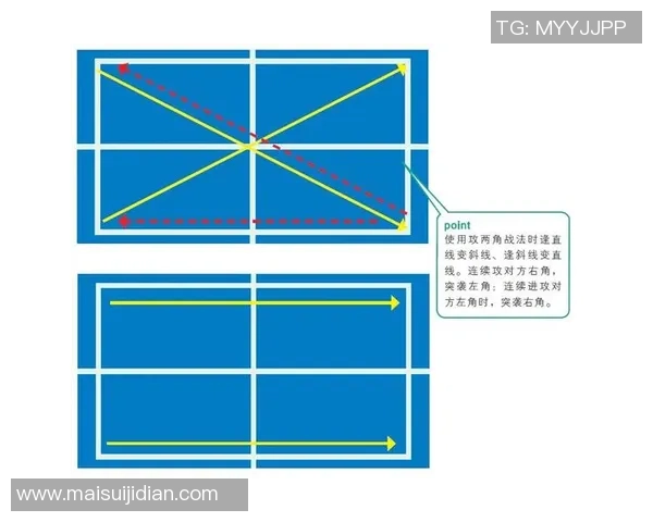 广州乒乓球队的转换打法解析与战术创新探讨