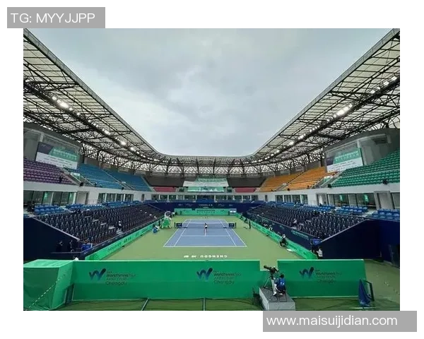 杭州网球队在世锦赛中的战术表现分析与未来展望